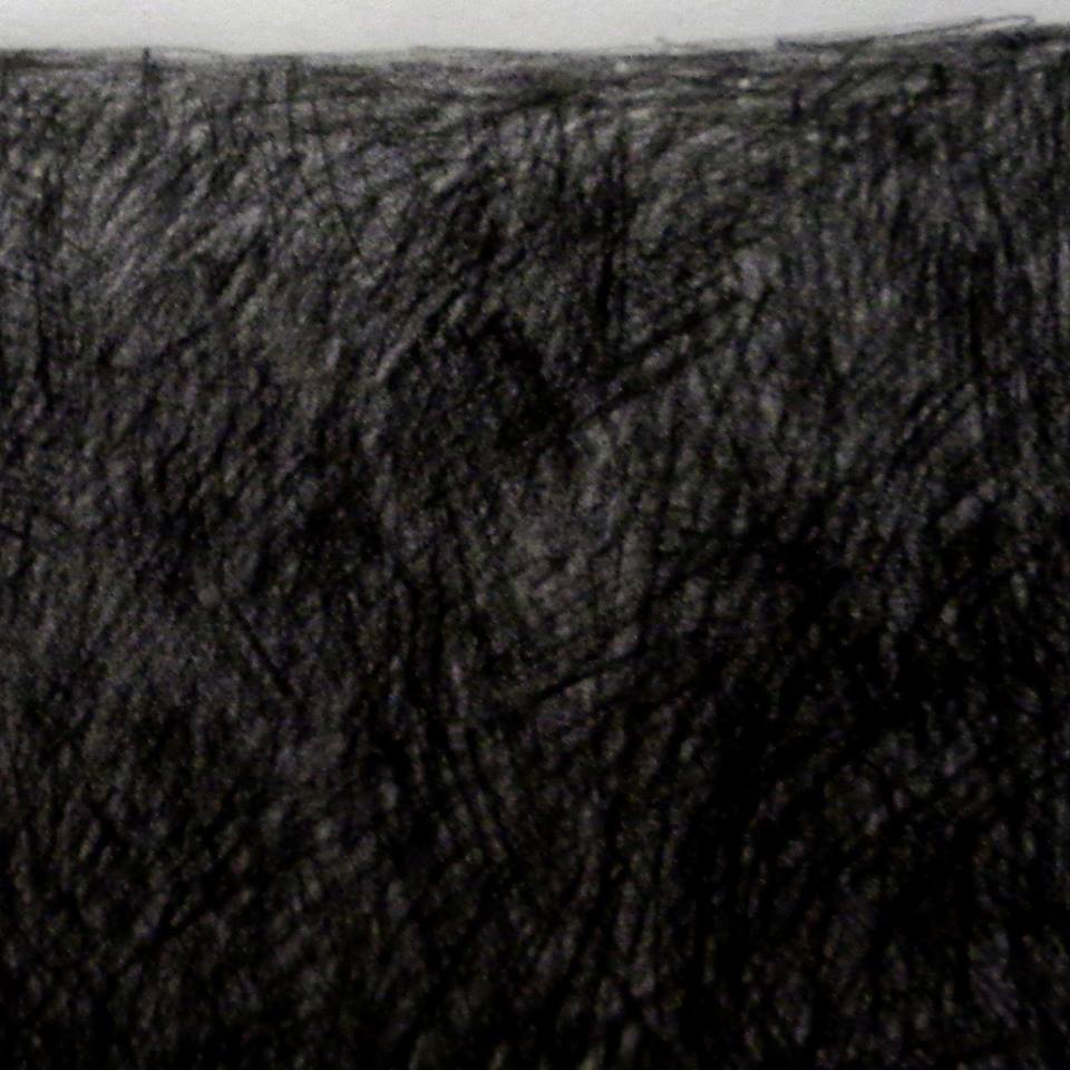 10922776_10202272770579391_4055047280068520427_n