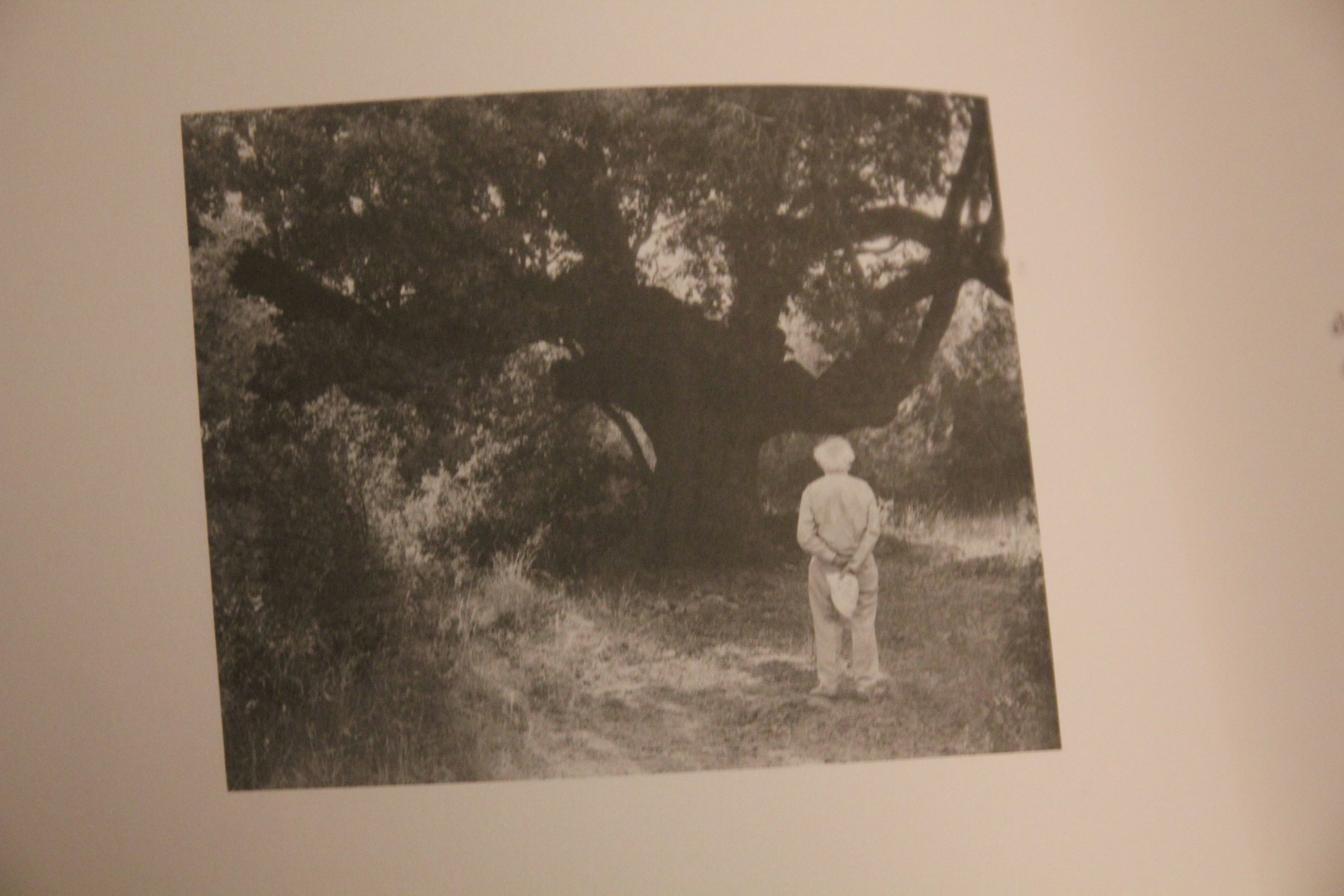 bonnefoy