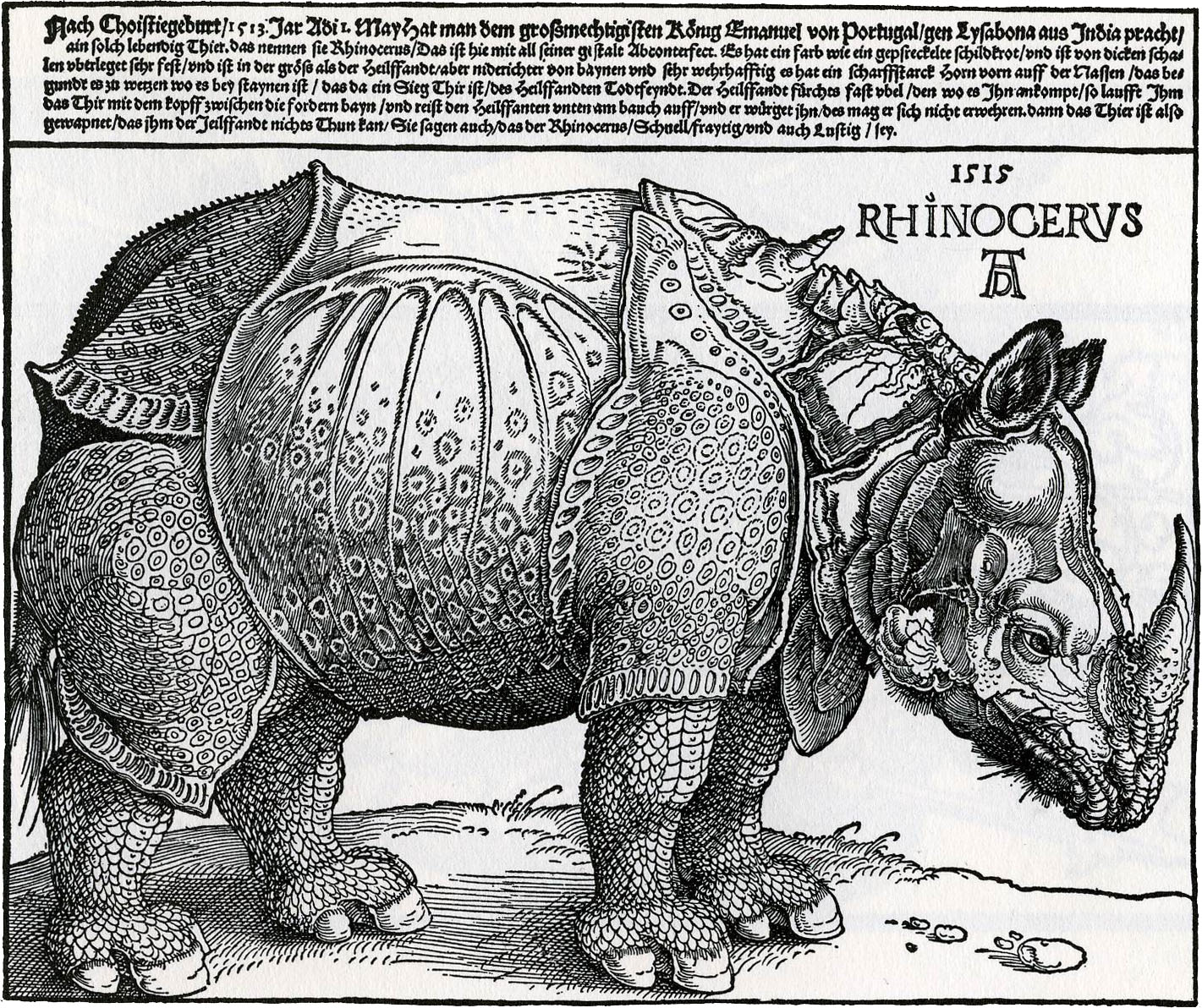 durer-rhinoceros-engraving-1515