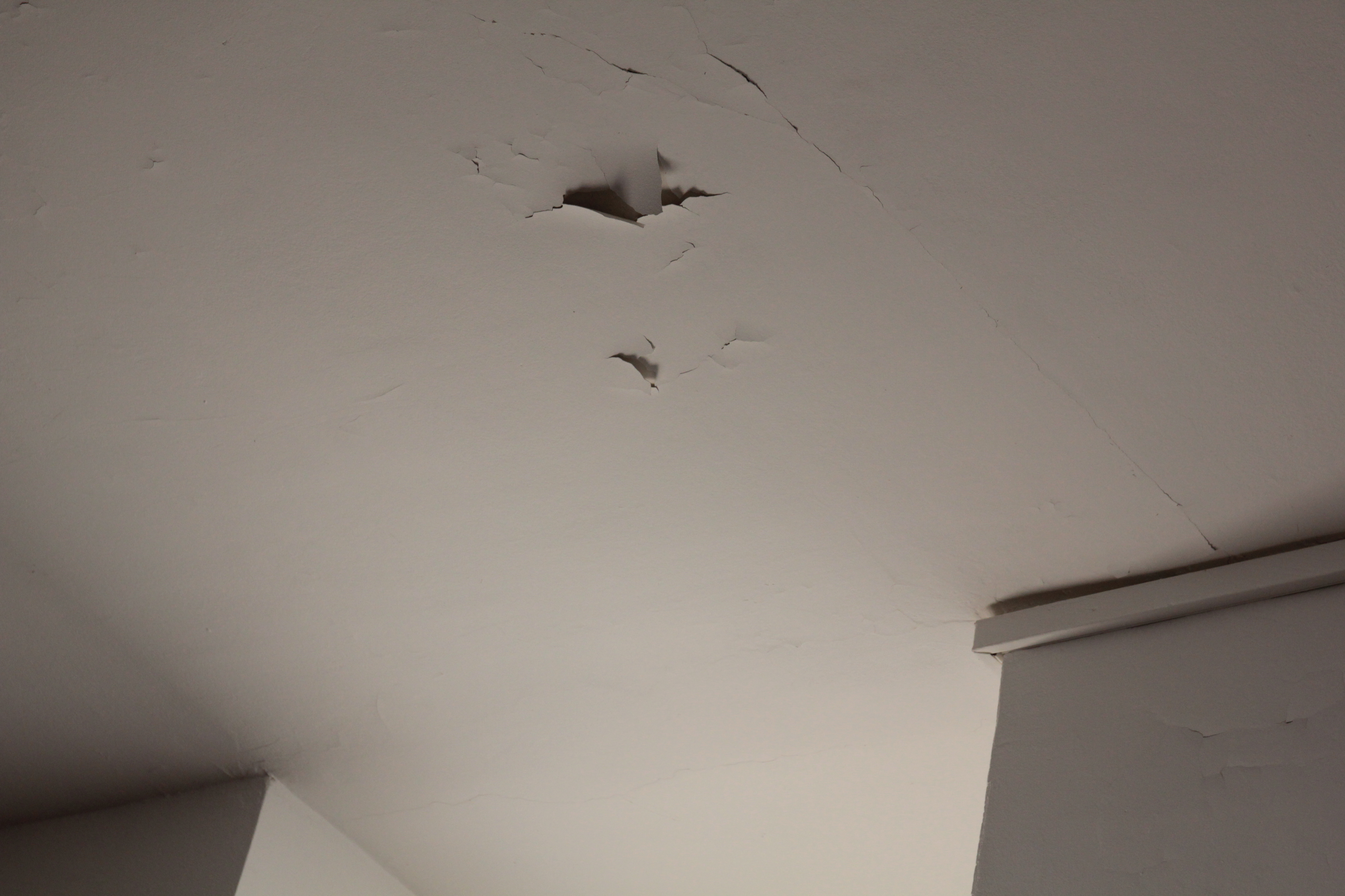 plafond