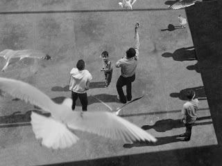 jeremy liron   les pas perdus   claerbout transparence