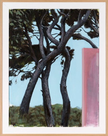 web_Liron_paysage150_132x105cm_2017.jpg