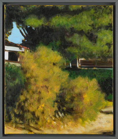 web_liron_tamaris_55x46cm_2022.jpg