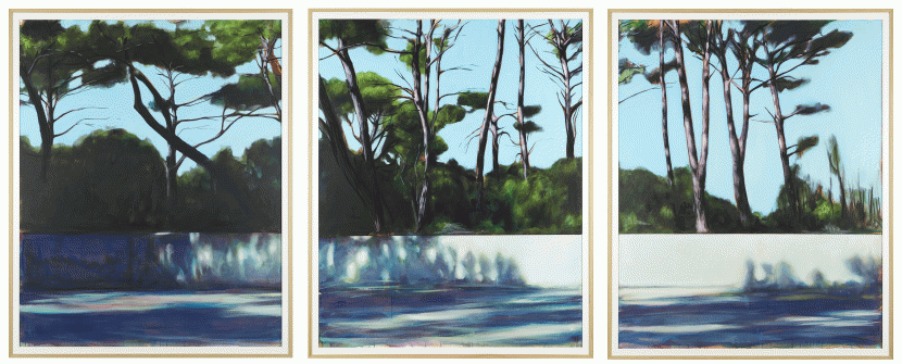 web_paysage-179-complet-172x420.gif