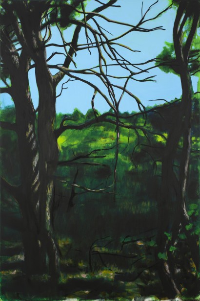 web_paysage-233_195x130cm_22.jpg
