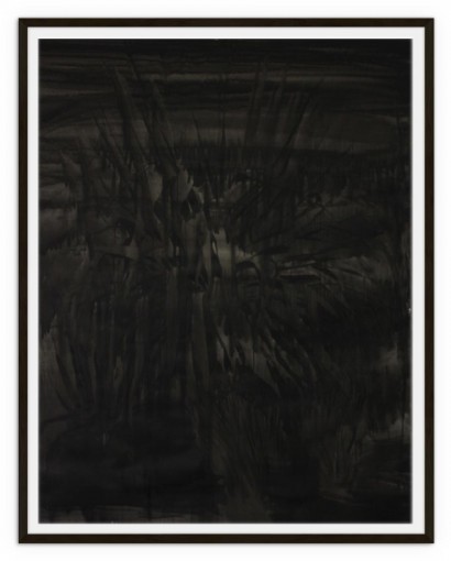 liron_image-inquiete-Buisson_mai2013.jpg
