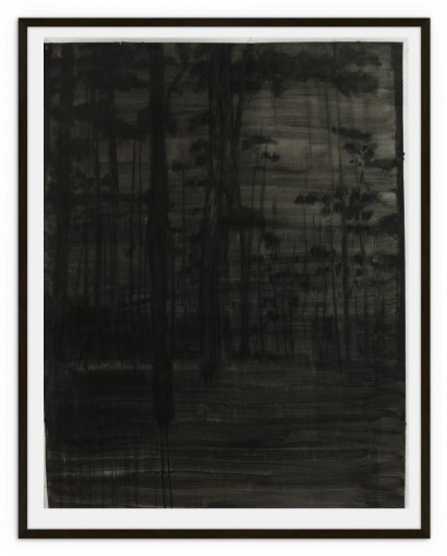 liron_image-inquiete-Sous-bois_2012.jpg
