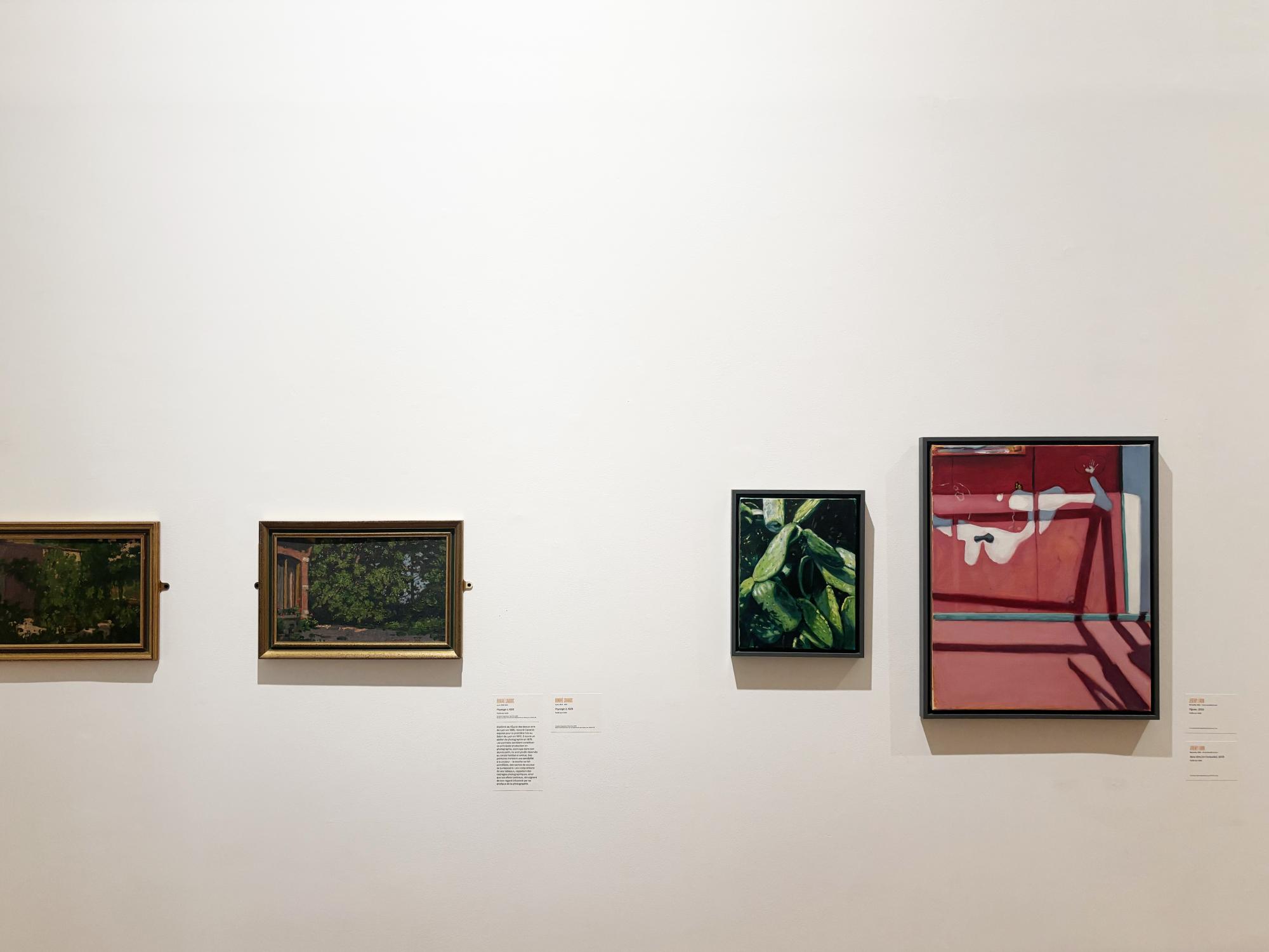 Regarder, révéler. Dialogues entre peinture et photographie