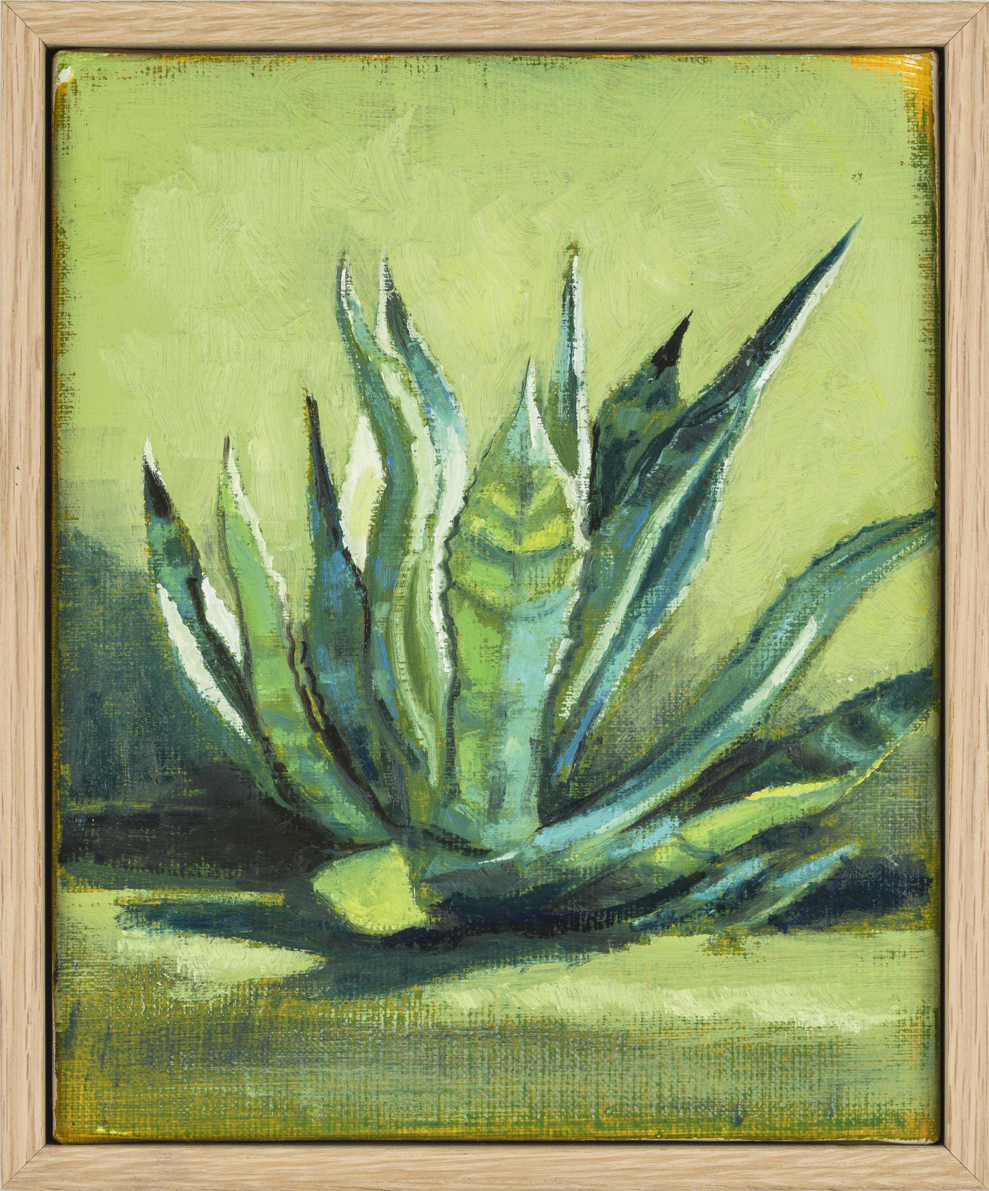 Sans Titre (agave)