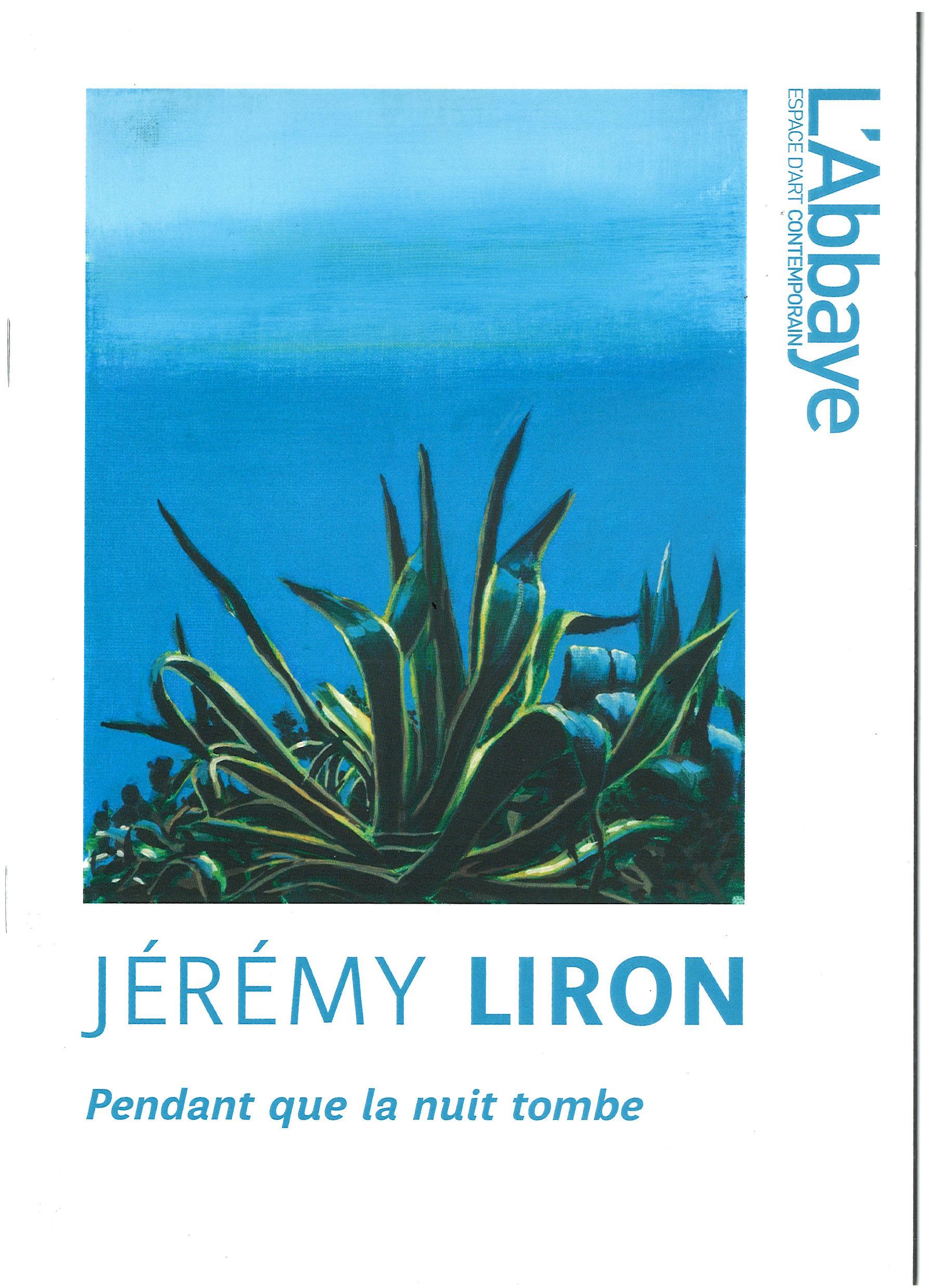 Pendant que la nuit tombe