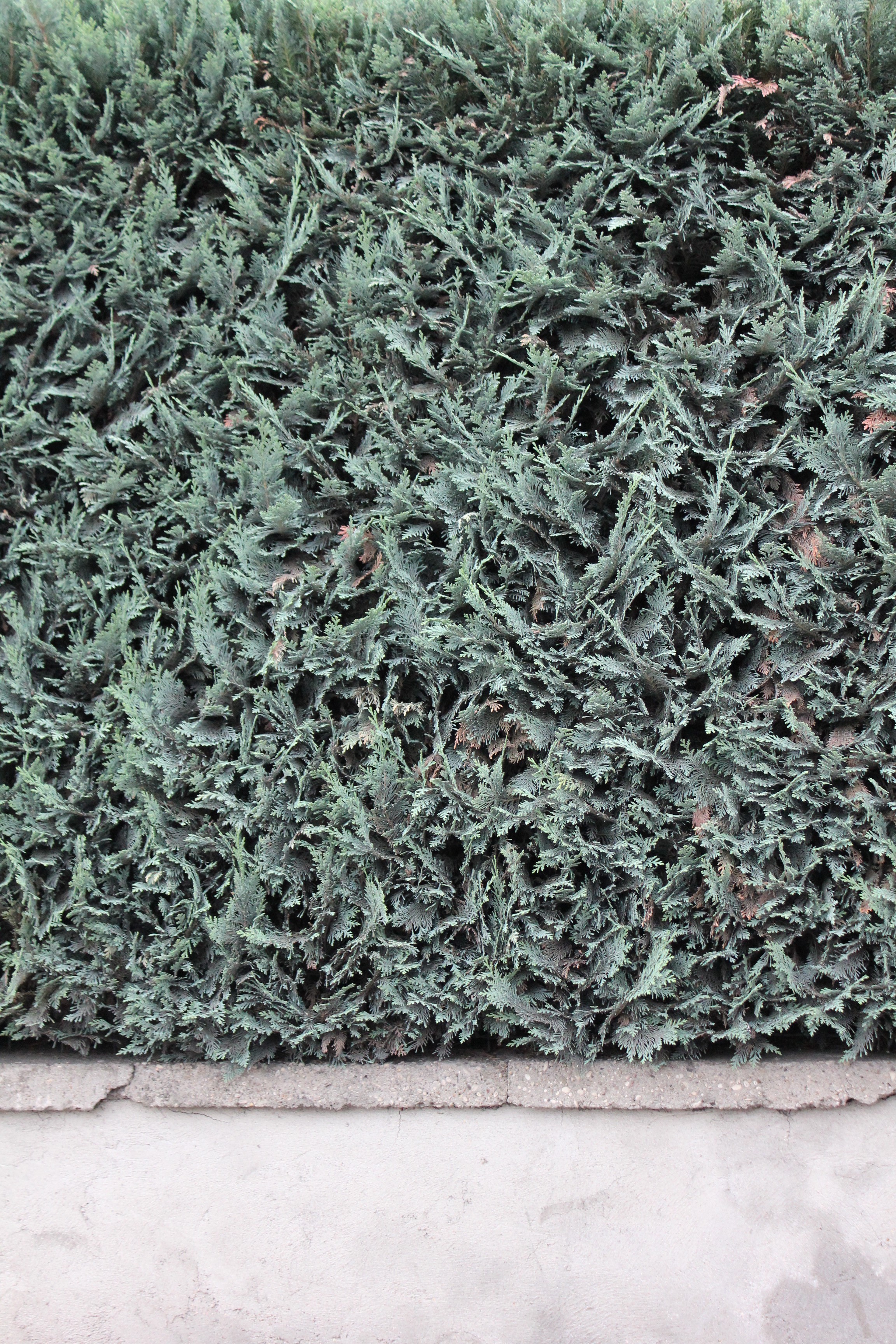 Et les images en sont, des bouts de réel abruptes