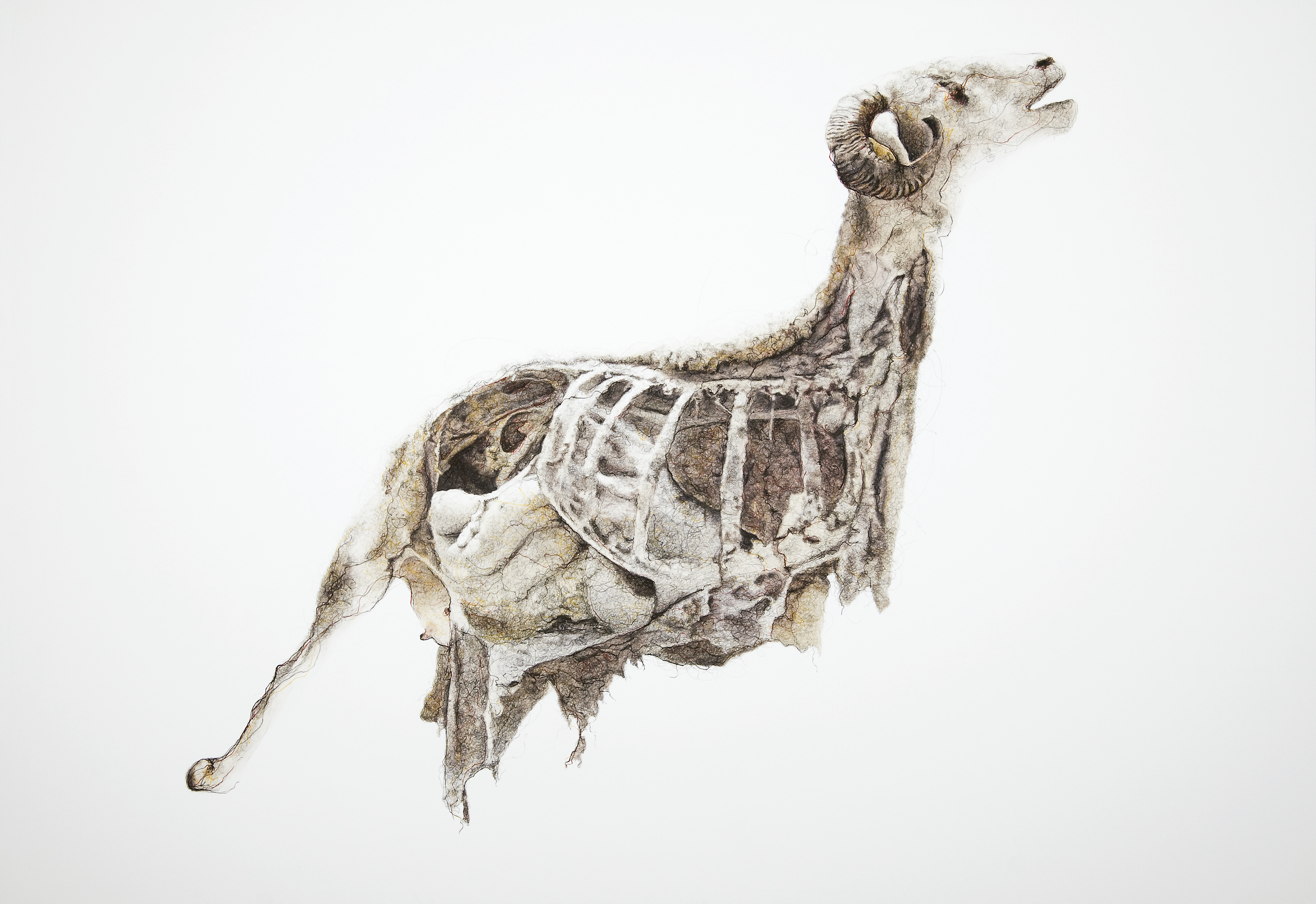 Emmanuelle Mason, Ouvrir le corps de l’image.