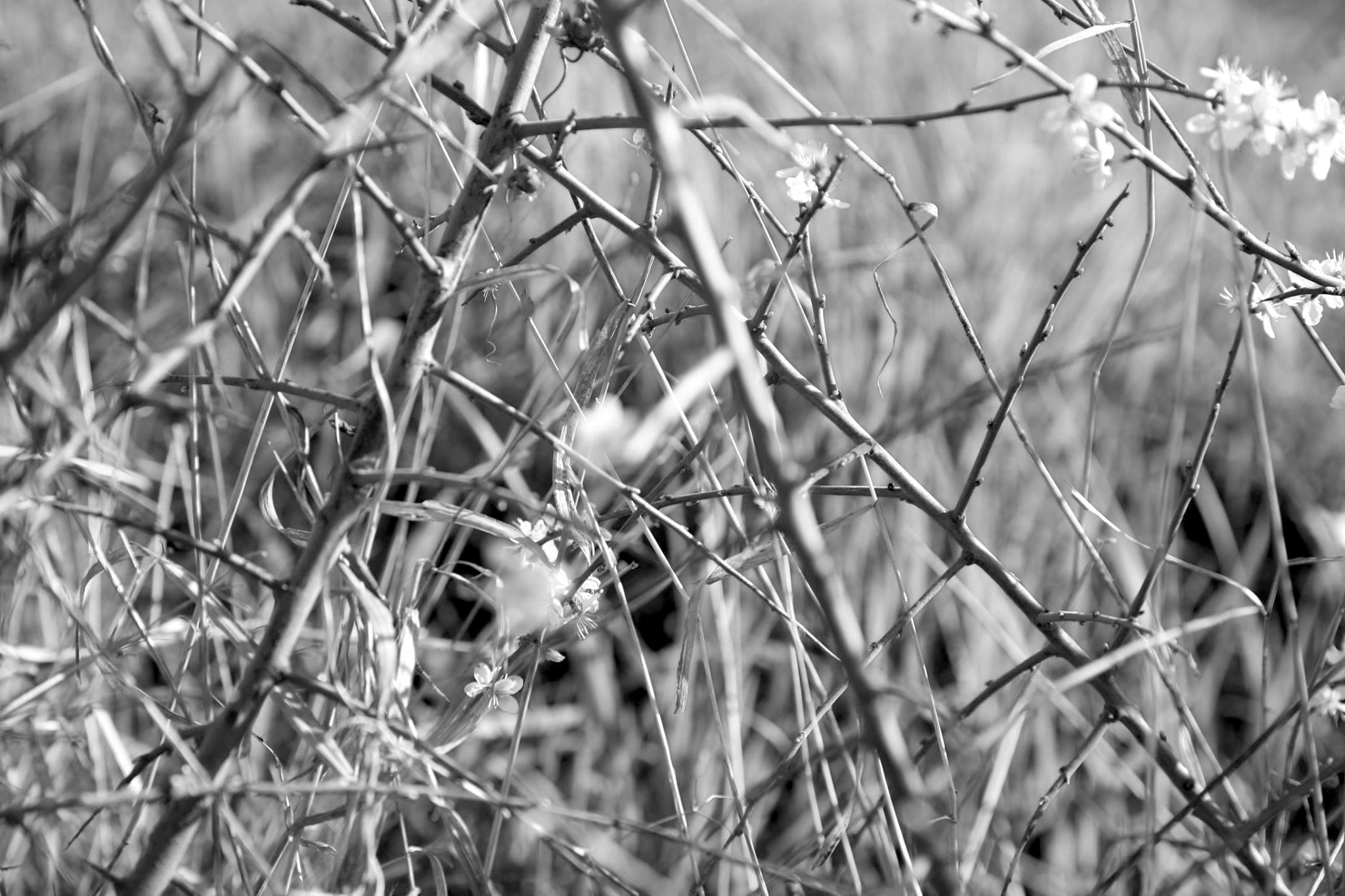 A chaque heure du jour (suivre les lignes)