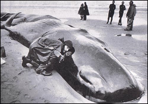 quelques lectures de septembre