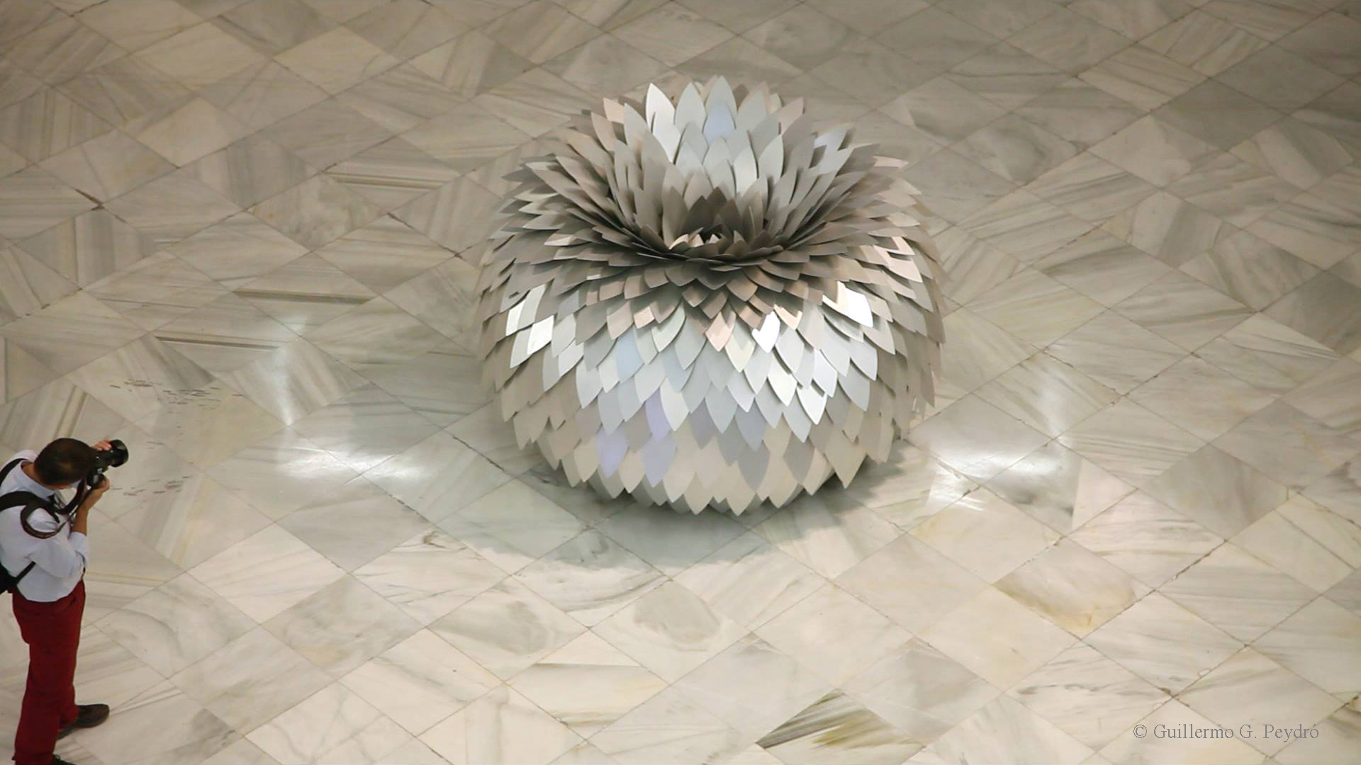 Jeanne de Petriconi, Les formes en leur silence