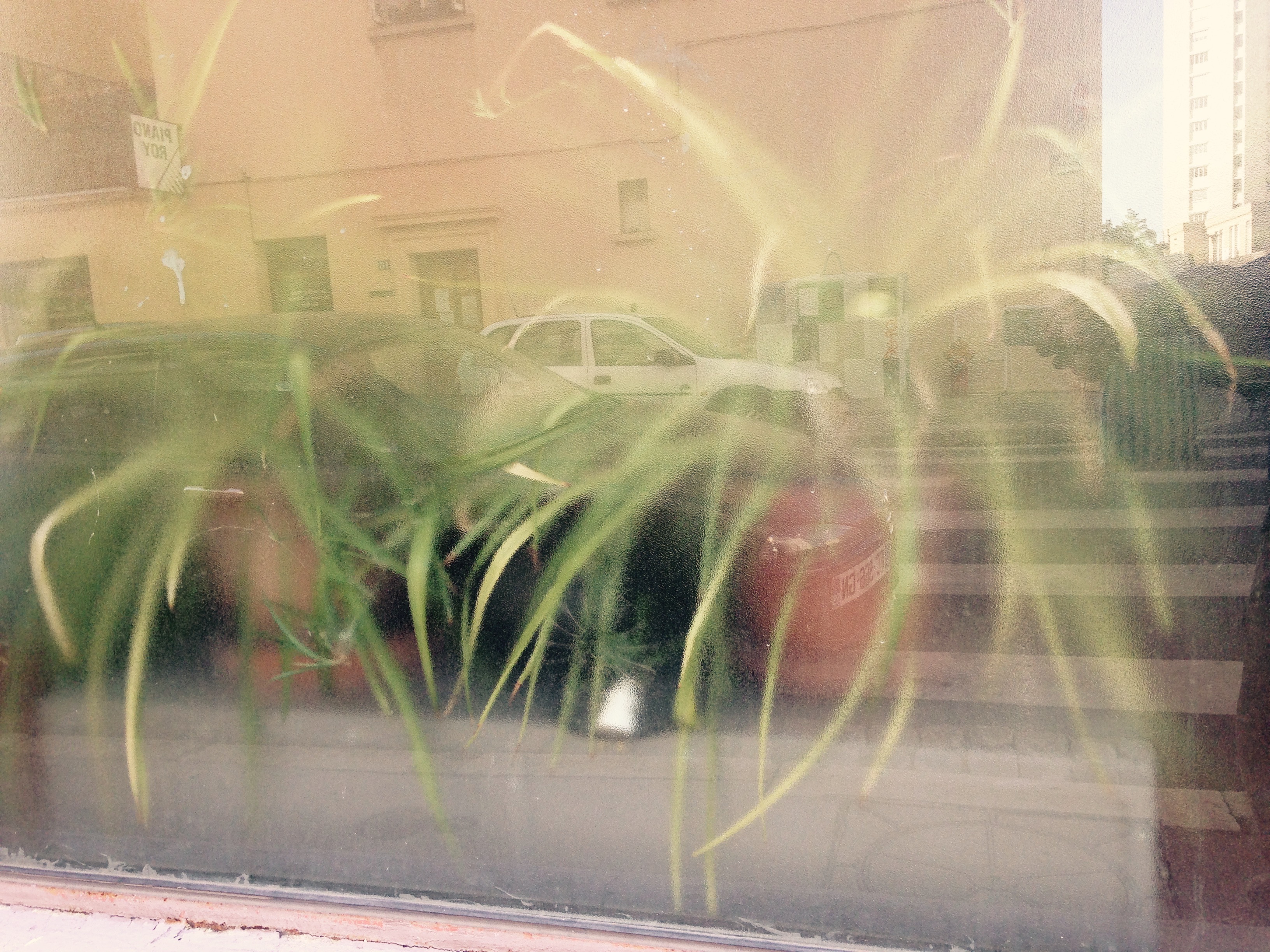 le lent déploiement du sentiment